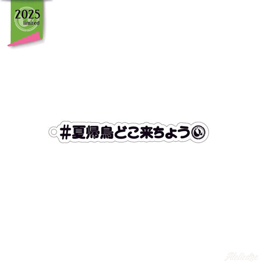 【数量限定】1万年と2千年前からアクキーは作りたかった
